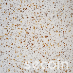 Terrazzo TG1-03M